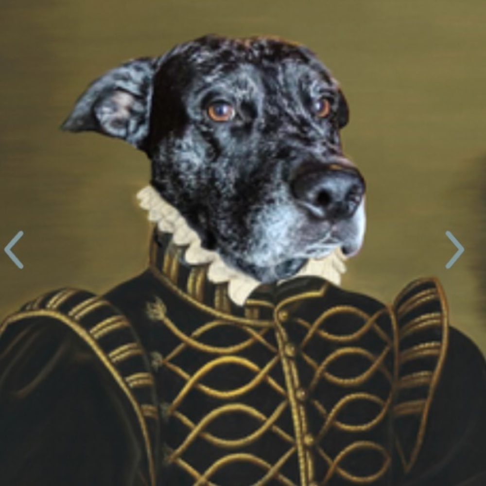 Meet your Posher, Allison